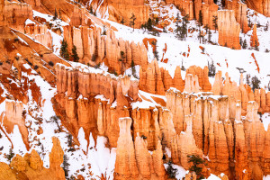 Bryce Canyon number one.